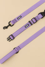 Lavender Dog Collar & Leash Set - WOOF