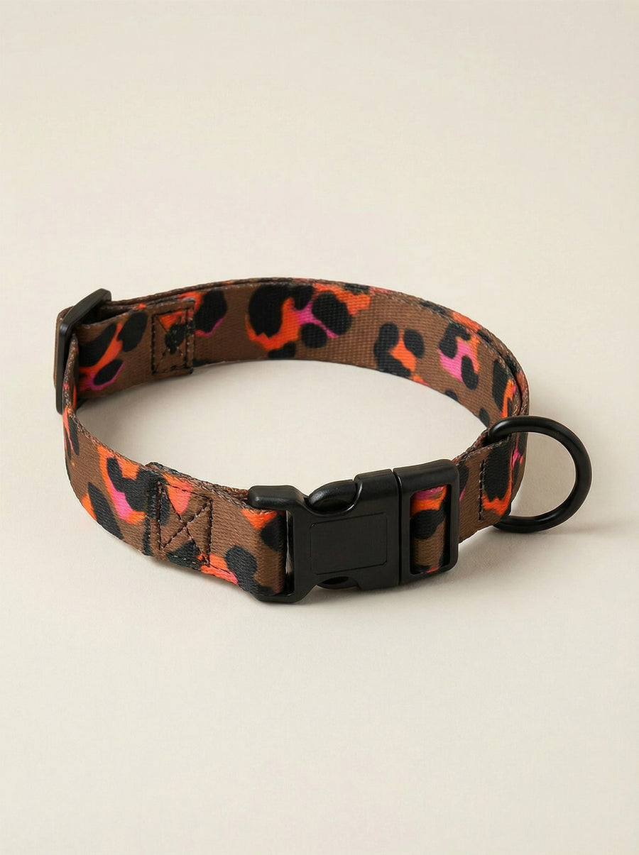 Leopard print dog collar from WOOF shown on its own