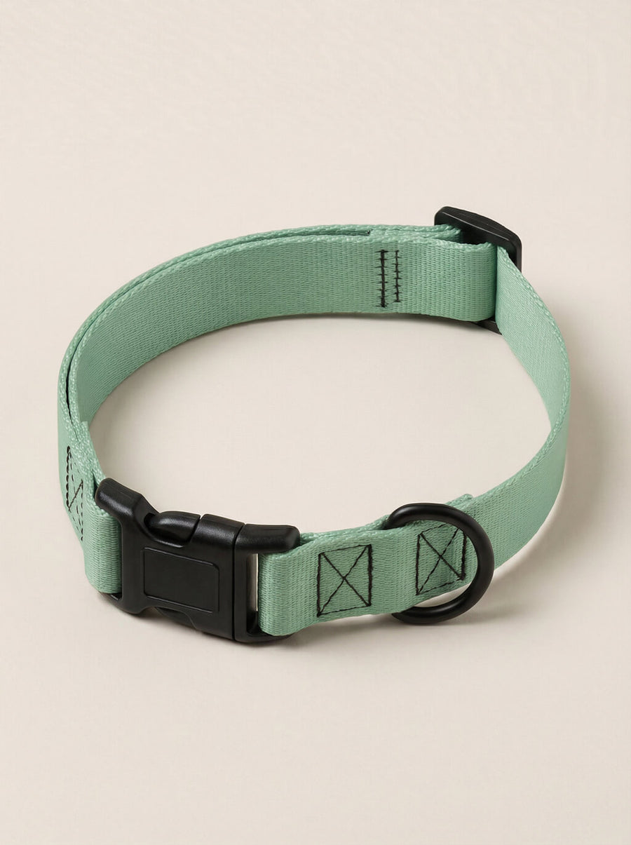 Mint green dog collar from WOOF shown on its own