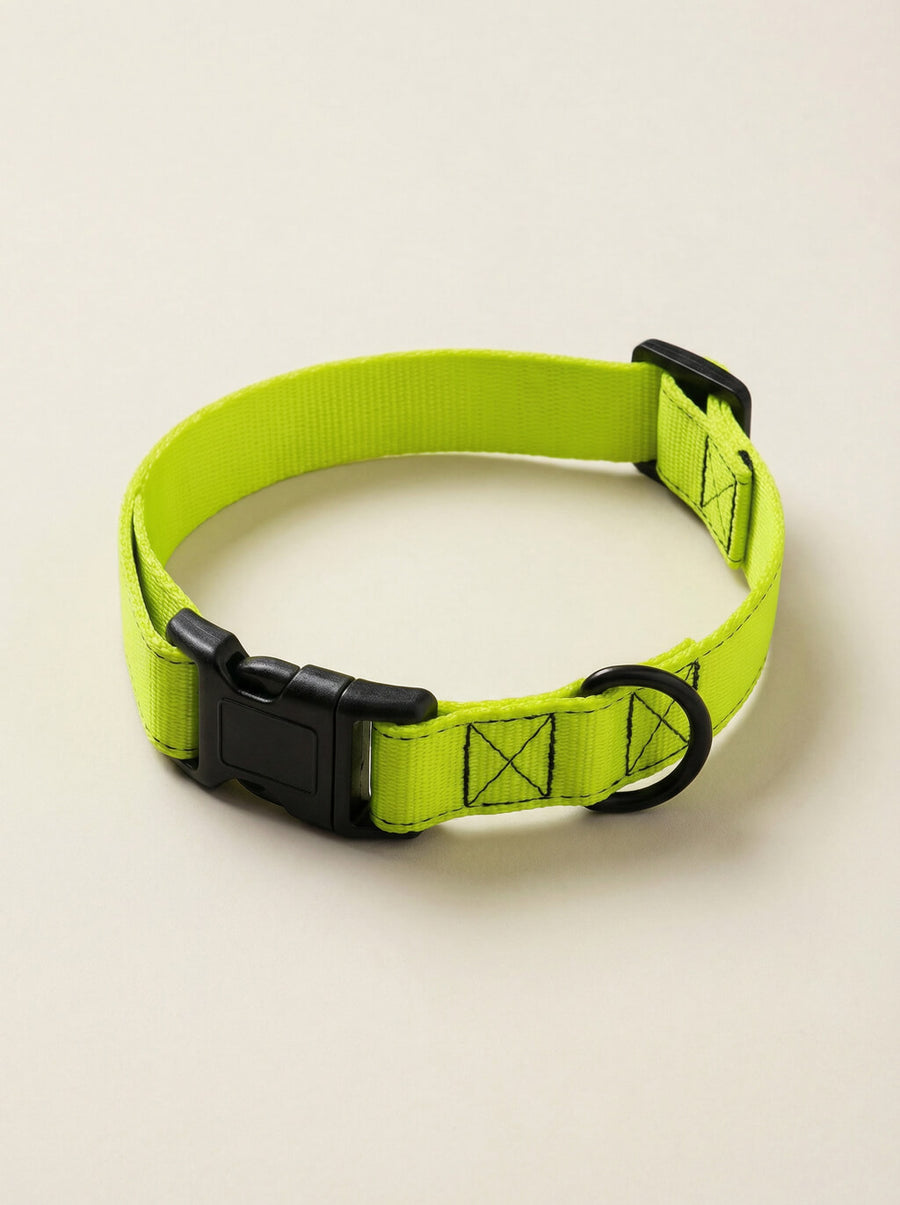 Neon green dog collar from WOOF shown on its own