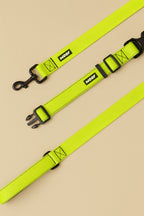 Neon Green Dog Collar & Leash - WOOF