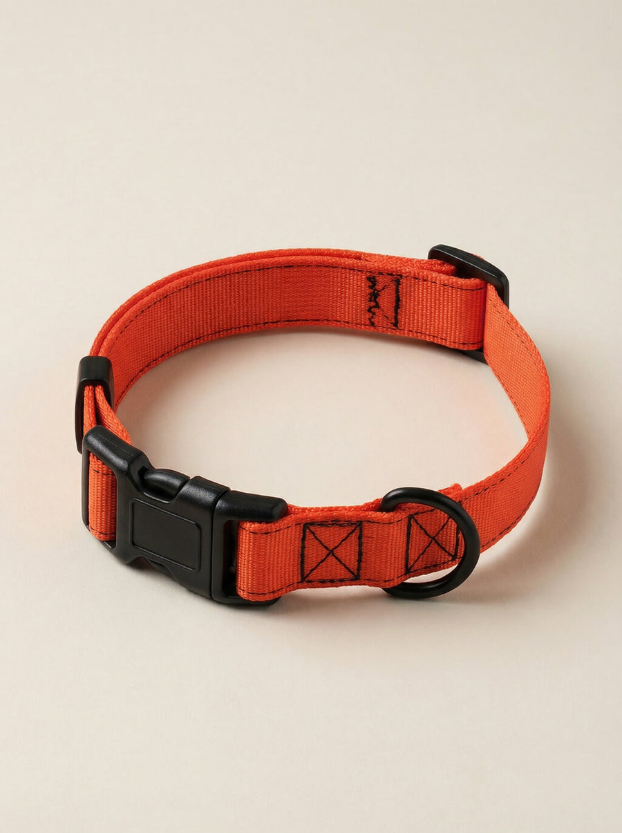 Neon orange dog collar from WOOF shown on its own