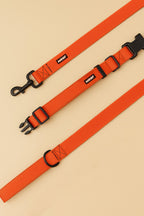 Neon Orange Dog Collar & Leash Set - WOOF