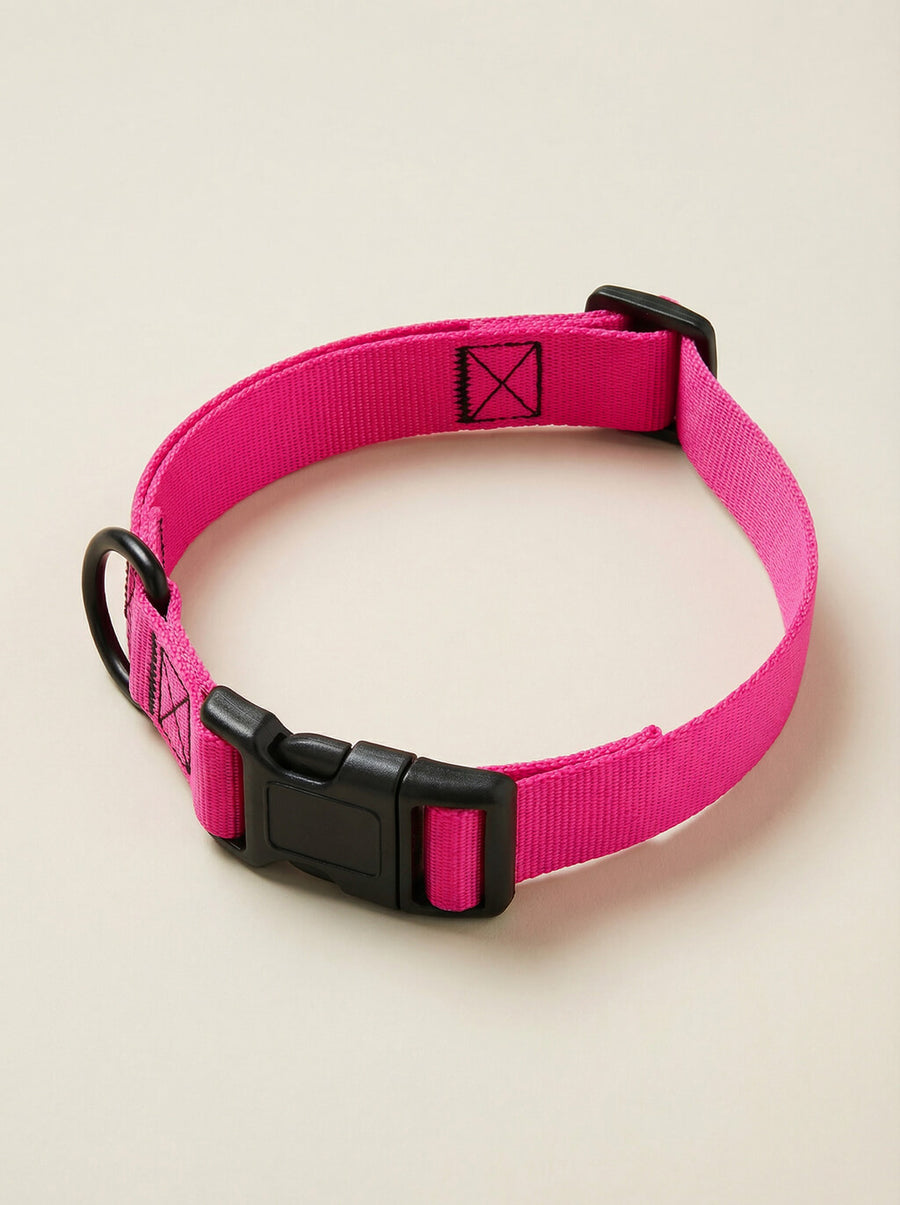 Neon pink dog collar from WOOF shown on its own
