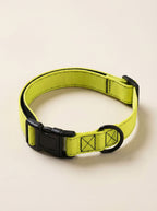 Neon Yellow Dog Collar & Leash Set