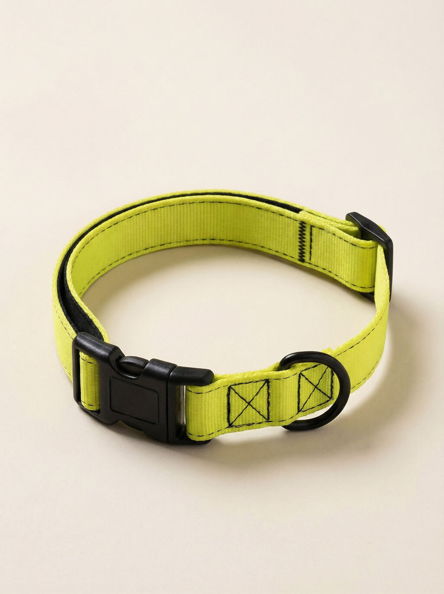 Neon yellow dog collar from WOOF shown on its own