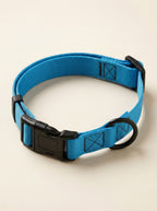 Sky Blue Dog Collar & Leash Set