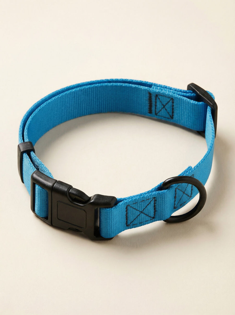 Sky blue dog collar from WOOF shown on its own