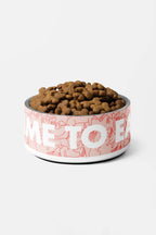 Special Time To Eat Dog Pet Bowl.