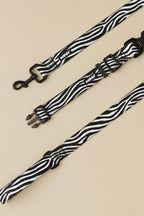 Zebra Dog Collar & Leash Set