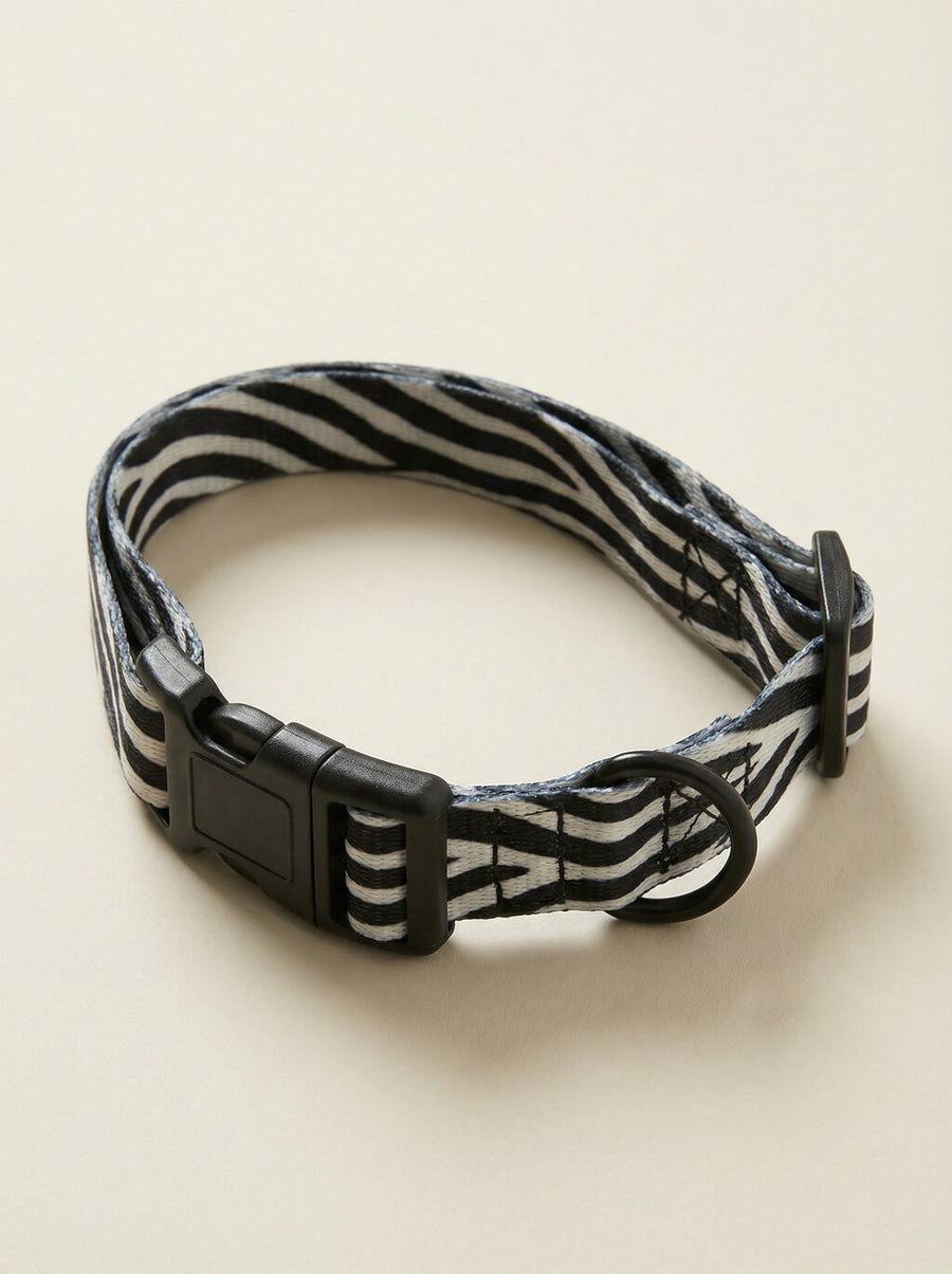 Zebra print dog collar from WOOF shown on its own