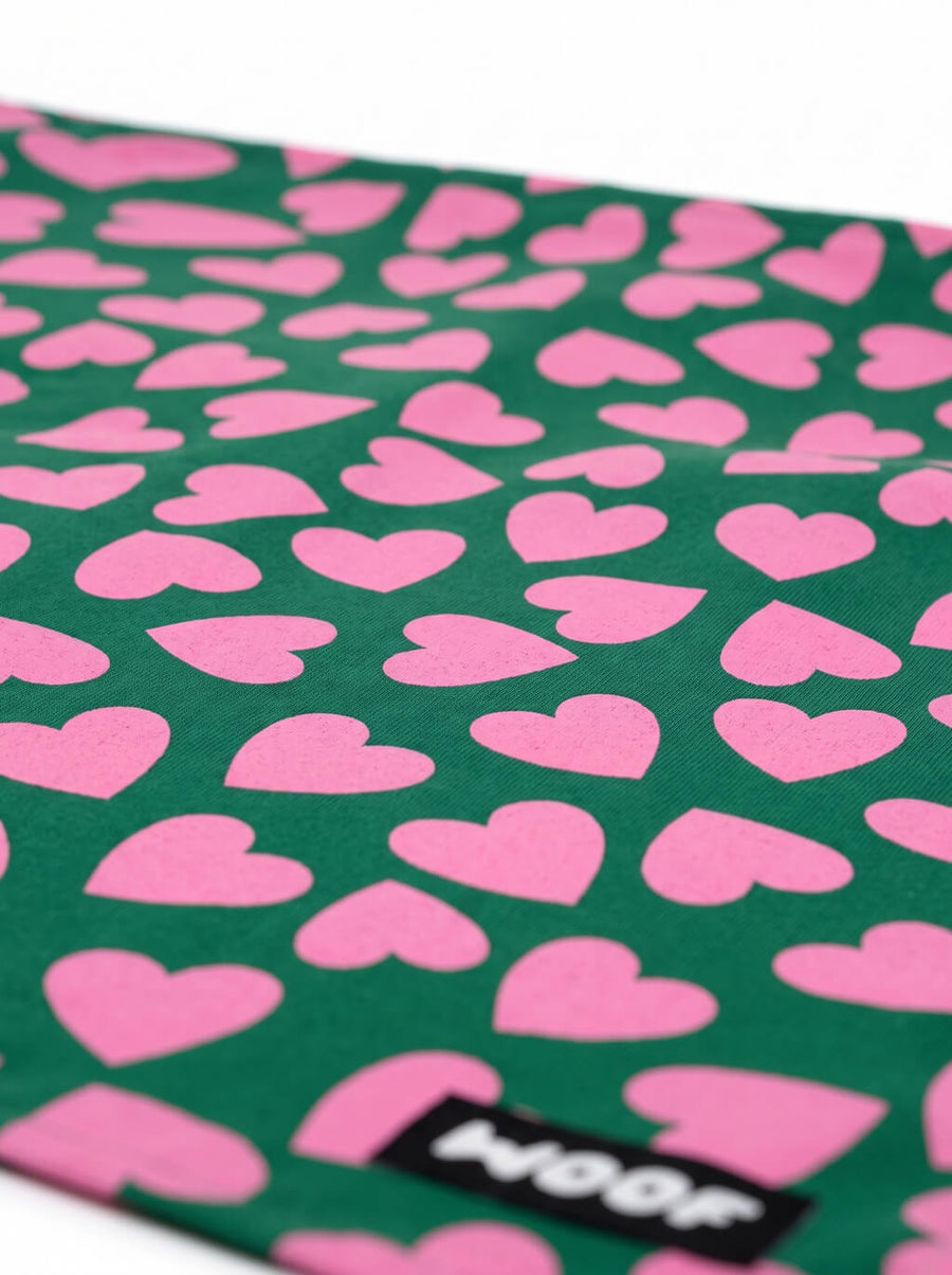 Fabric detail on the green Valentine's Day Dog Bandana from WOOF