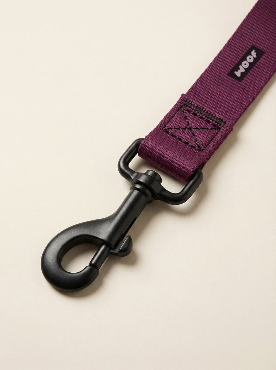 Buckle detail on the burgundy dog collar from WOOF
