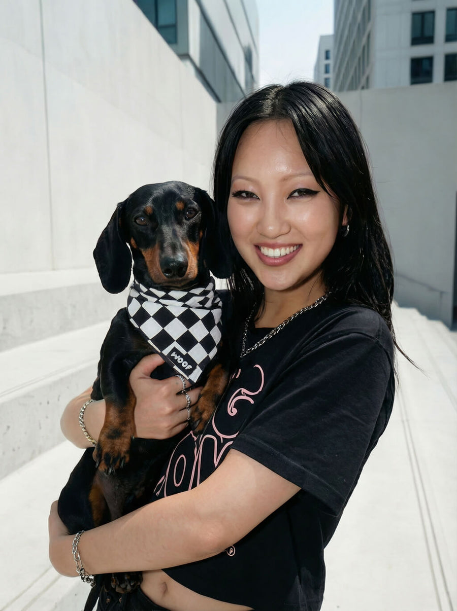 Checkered dog bandana from WOOF worn by a dog