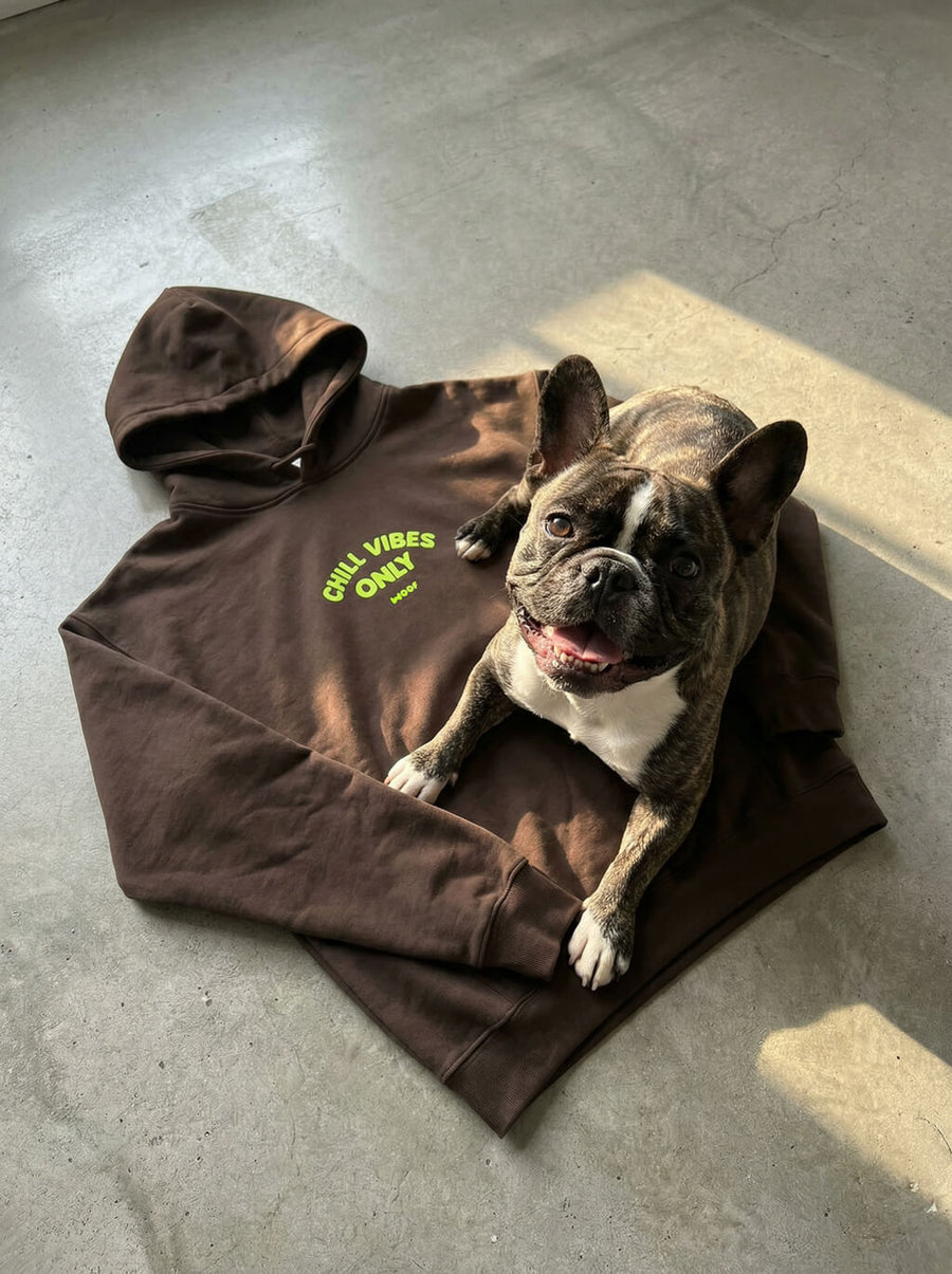 Brown Chill Vibes Only French Bulldog Hoodie from WOOF on a plain background