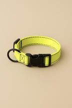 Citrus Yellow Dog Collar & Leash Set - WOOF