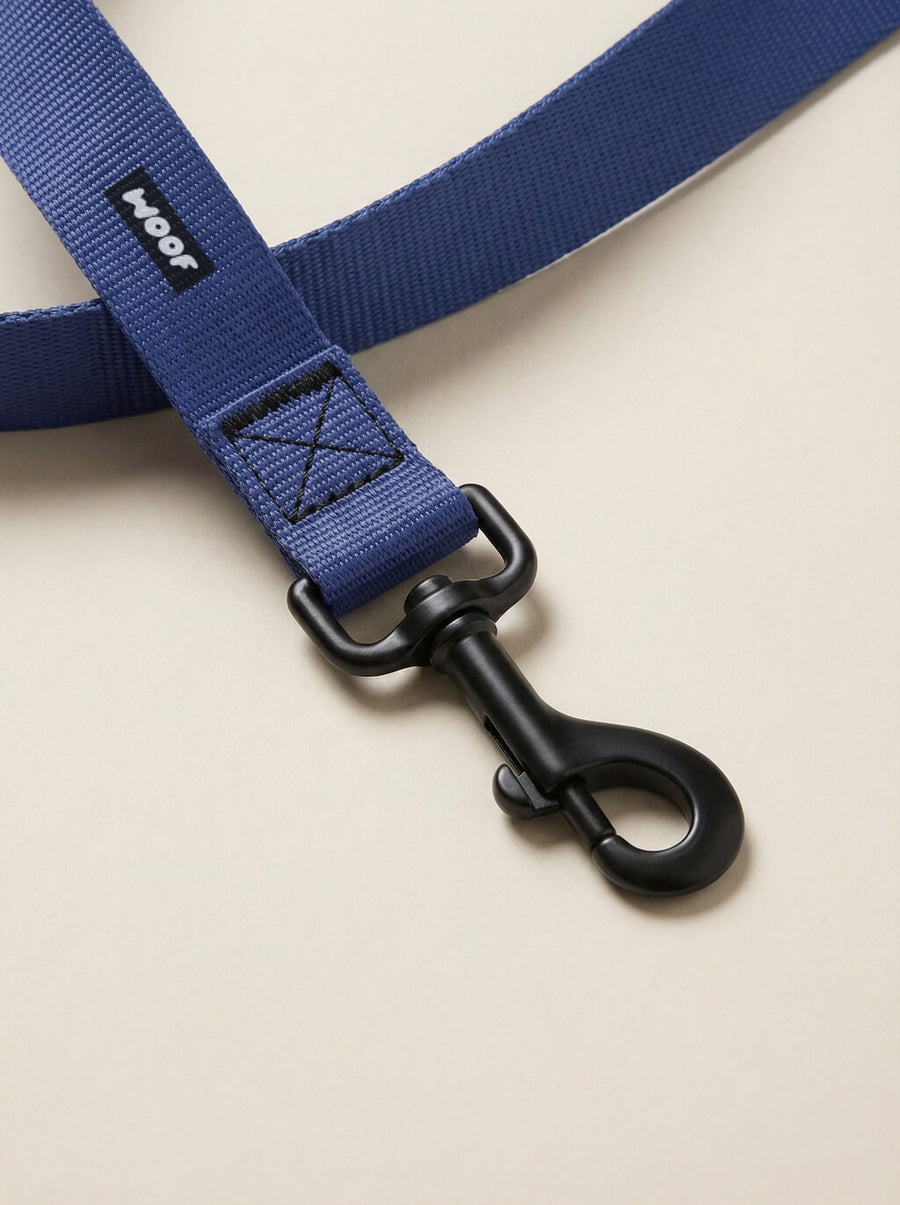 Buckle detail on the deep blue dog collar from WOOF