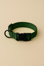 Deep Green Dog Collar & Leash Set - WOOF