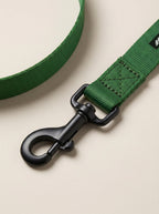 Deep Green Dog Collar & Leash Set