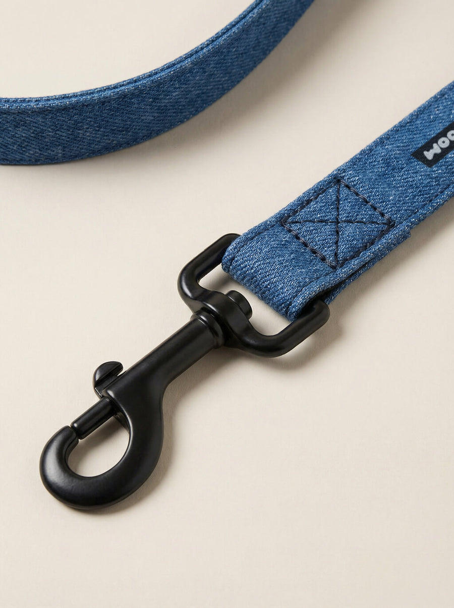 Buckle detail on the denim look dog collar from WOOF