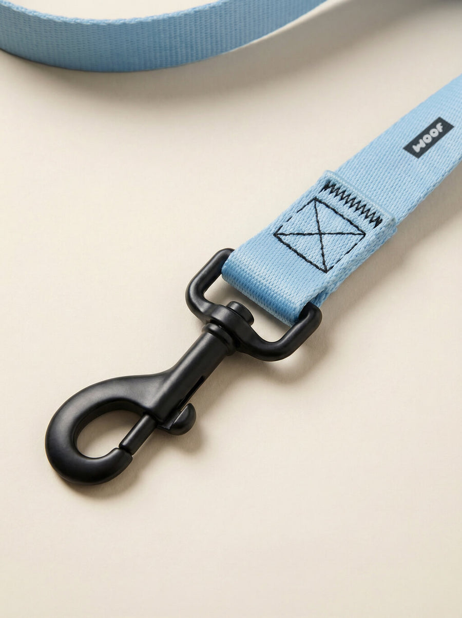 Buckle detail on the ice blue dog collar from WOOF