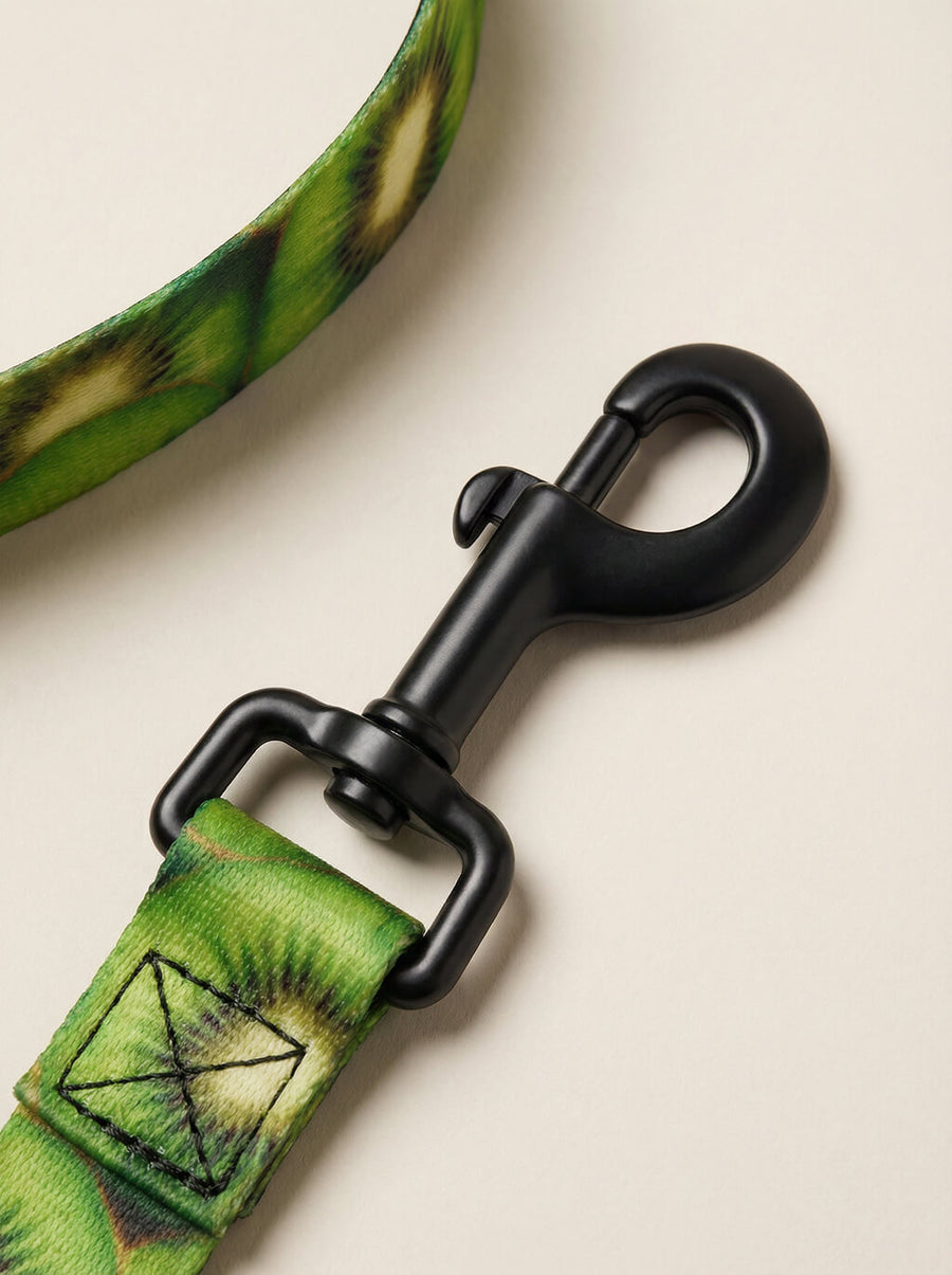 Buckle detail on the kiwi print dog collar from WOOF