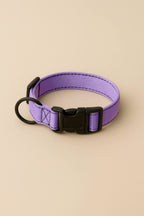 Lavender Dog Collar & Leash Set - WOOF