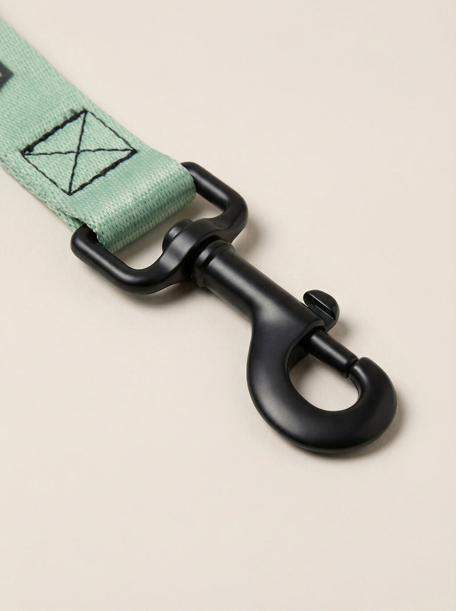 Buckle detail on the mint green dog collar from WOOF