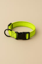 Neon Green Dog Collar & Leash - WOOF