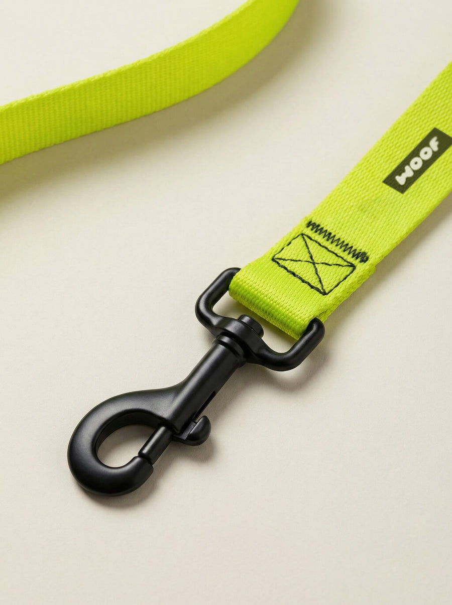 Buckle detail on the neon green dog collar from WOOF