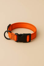 Neon Orange Dog Collar & Leash Set - WOOF