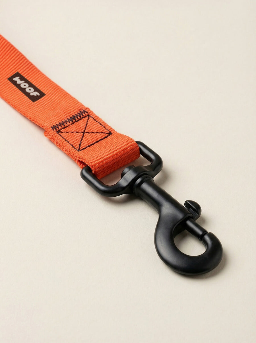 Buckle detail on the neon orange dog collar from WOOF