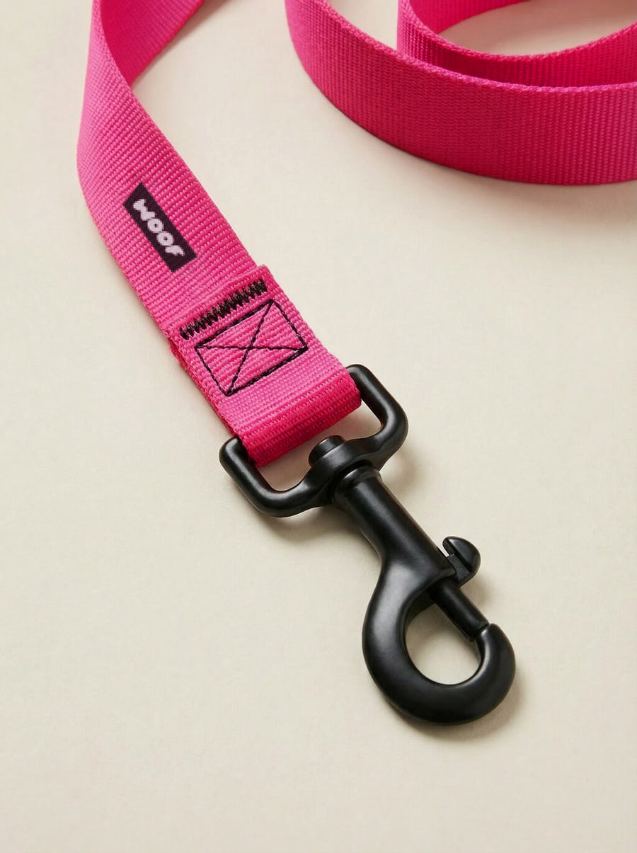 Buckle detail on the neon pink dog collar from WOOF