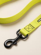 Neon Yellow Dog Collar & Leash Set