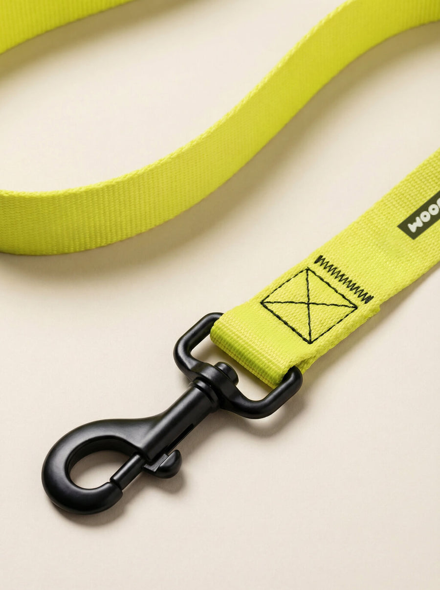 Buckle detail on the neon yellow dog collar from WOOF
