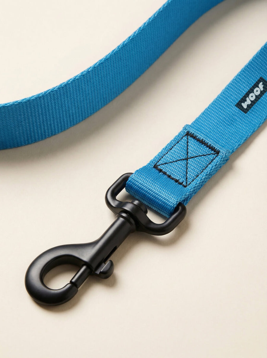 Buckle detail on the sky blue dog collar from WOOF
