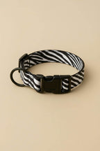 Zebra Dog Collar & Leash Set