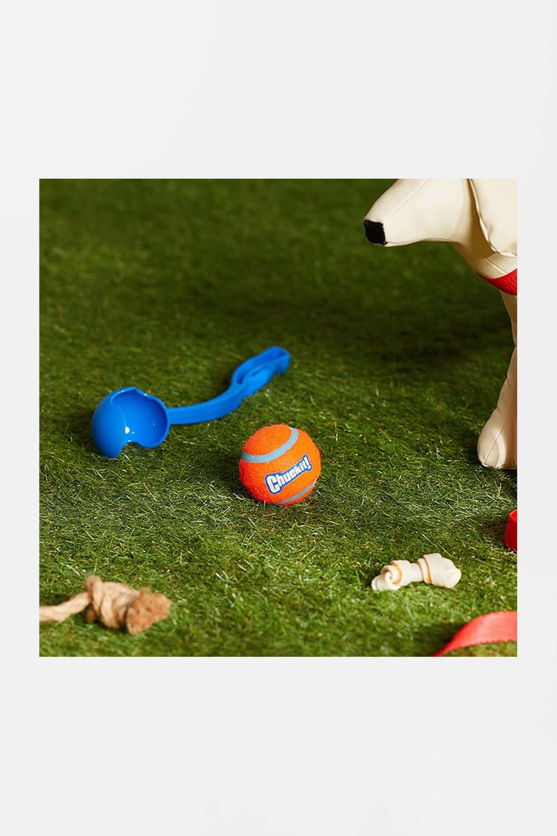 A close-up of a grassy surface features interactive dog toys: a Chuckit! 12 Dog Ball Launcher with ball, a bright ball, rope toy, and chew bone. A plush dogs face peeks in from the right, eager for an exciting fetch game.