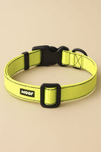 Citrus Yellow Dog Collar & Leash Set - WOOF