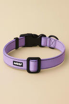 Lavender Dog Collar & Leash Set - WOOF