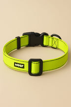 Neon Green Dog Collar & Leash - WOOF