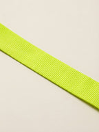 Neon Green Dog Collar & Leash Set