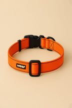 Neon Orange Dog Collar & Leash Set - WOOF