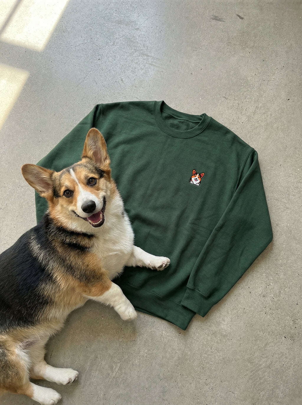 Premium Tricolor Corgi Patch Sweatshirt