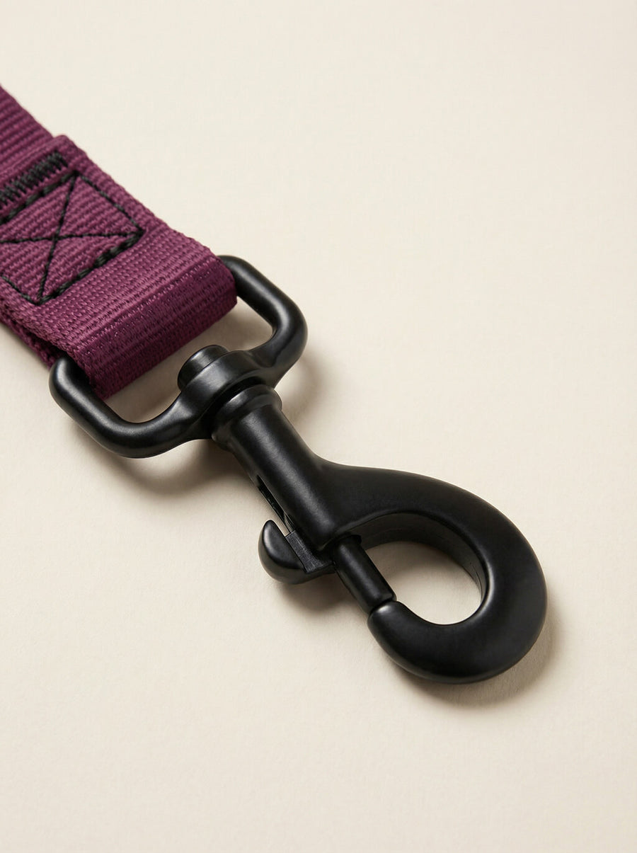 Webbing texture on the burgundy dog collar and leash from WOOF