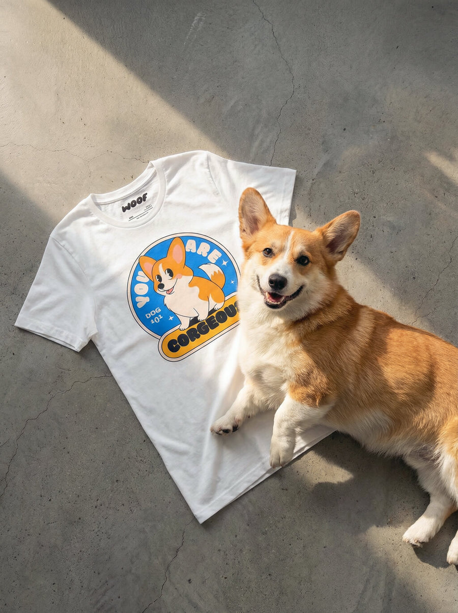 Front of the Corgeous Corgi T-Shirt from WOOF on a plain background