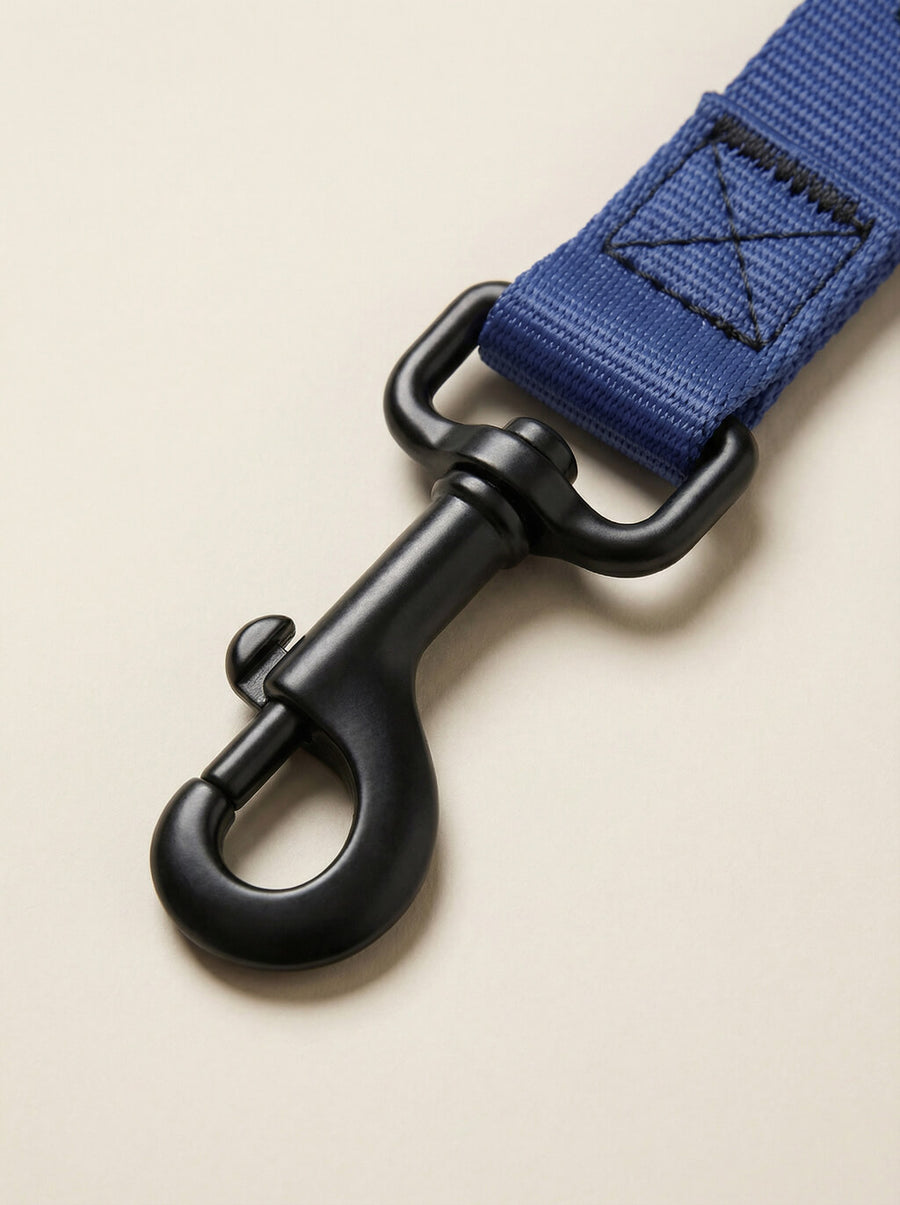 Webbing texture on the deep blue dog collar and leash from WOOF