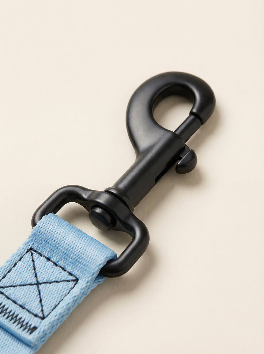 Webbing texture on the ice blue dog collar and leash from WOOF
