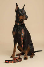 Elegant Leopard Dog Collar & Leash Set