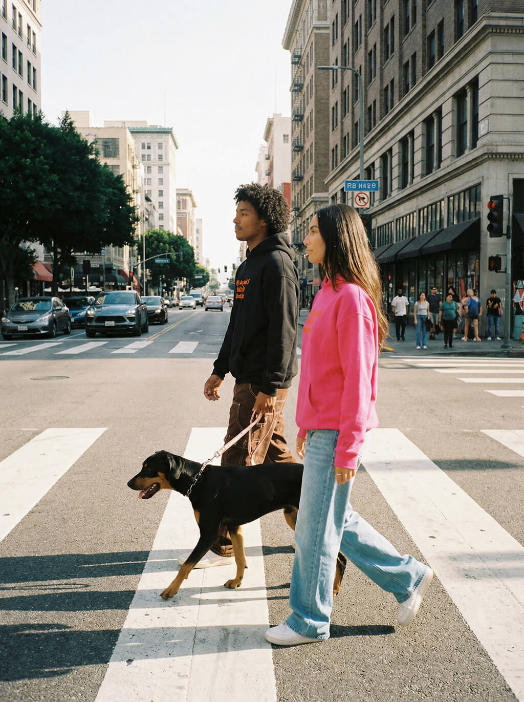 Bold My Dog And I Talk Embroidered Hoodie